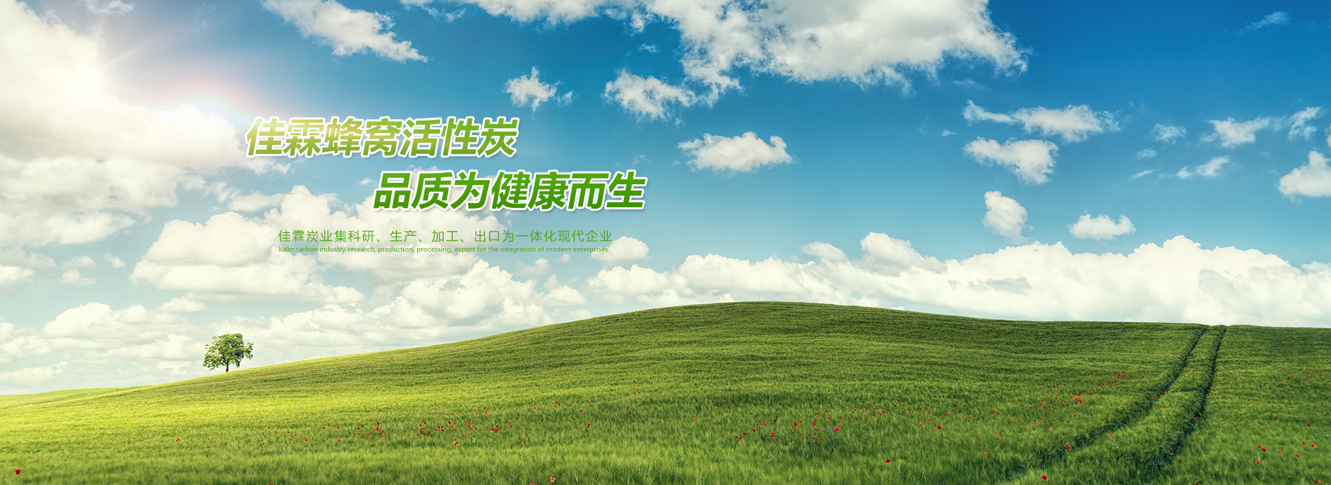 活性炭廠(chǎng)家